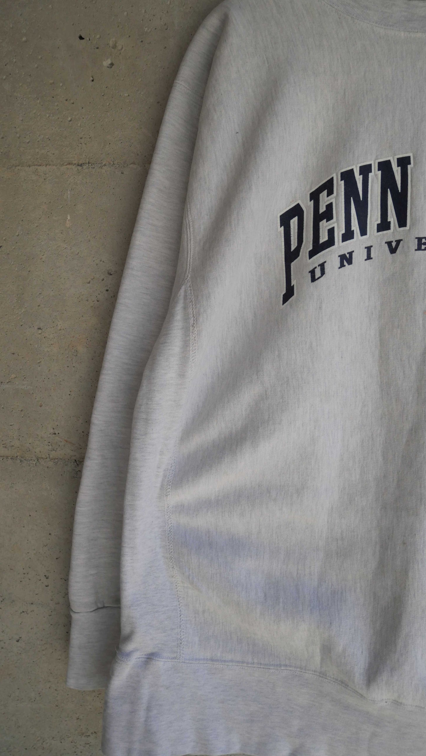 1990s Penn State Reverse Weave | XL