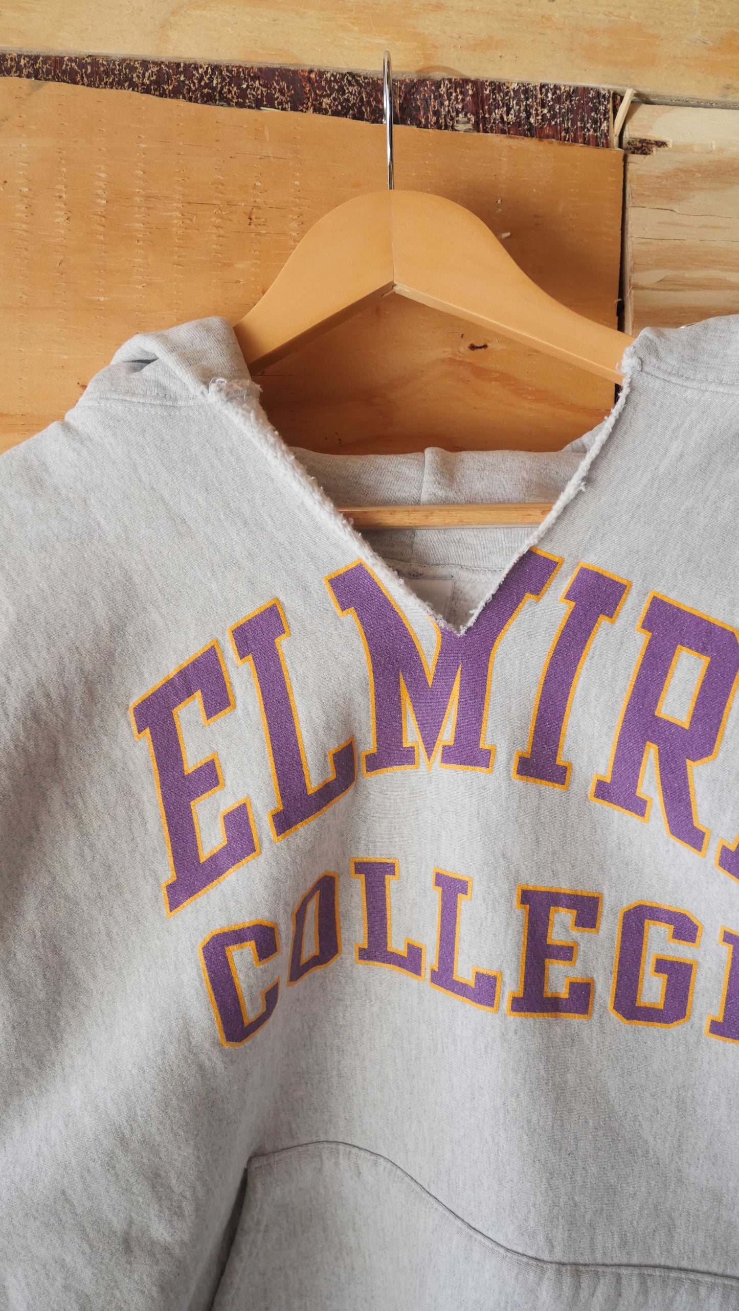 1990s Reverse Weave Hoodie | L