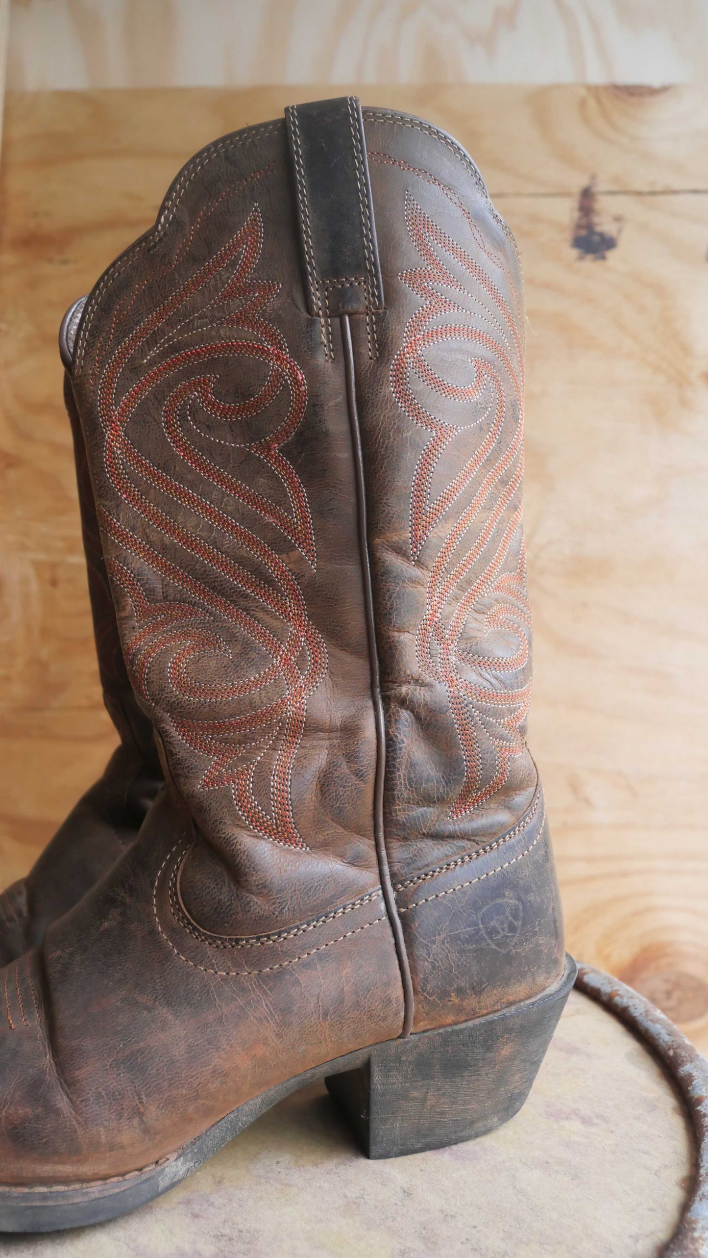 2000s Ariat Boots | 8.5