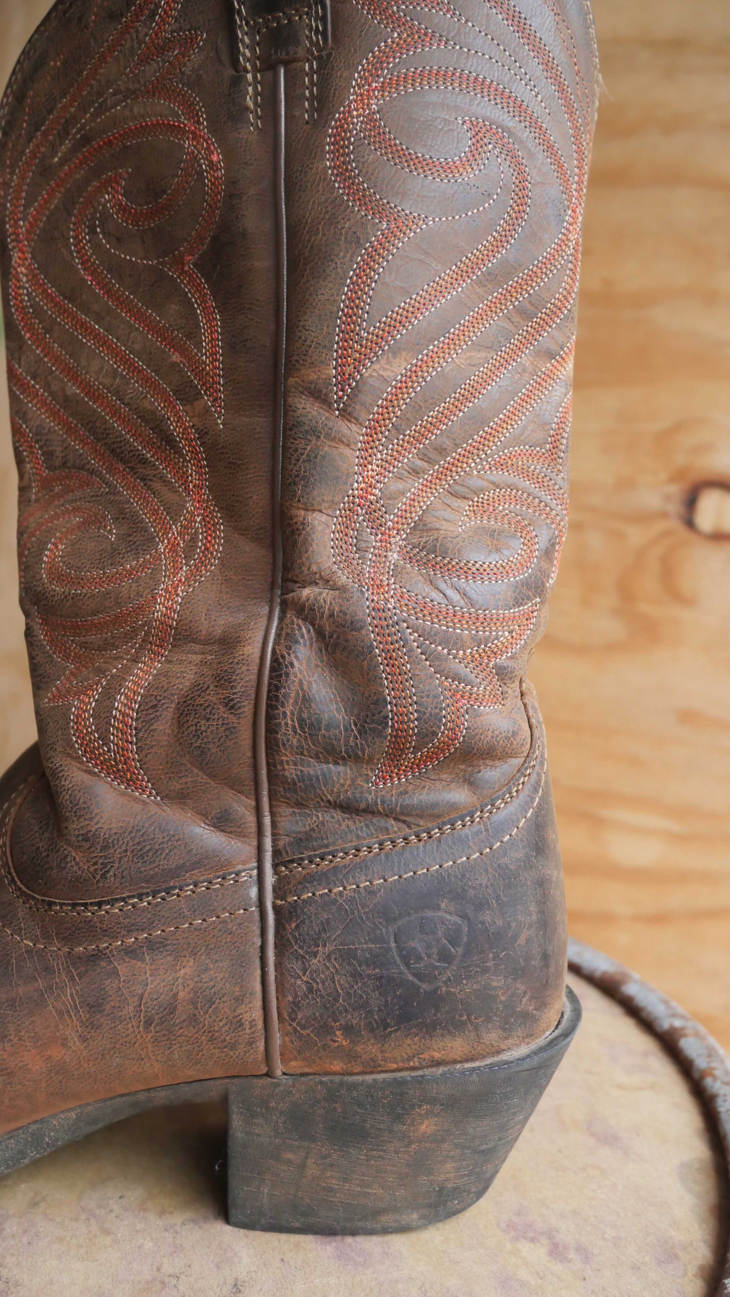 2000s Ariat Boots | 8.5