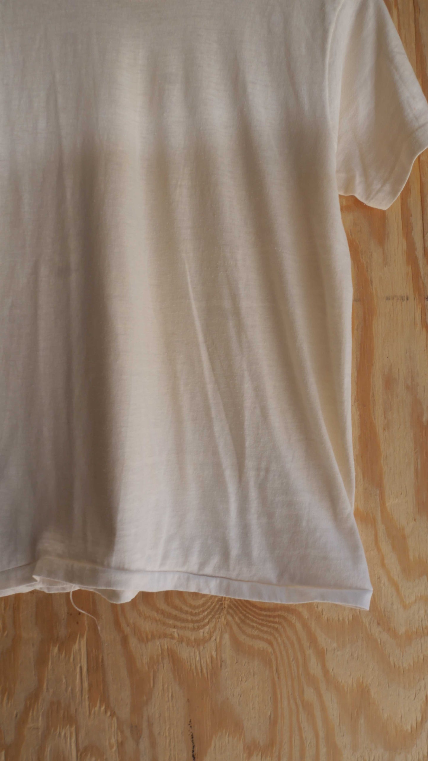 1980s Fruit of the Loom Blank | M