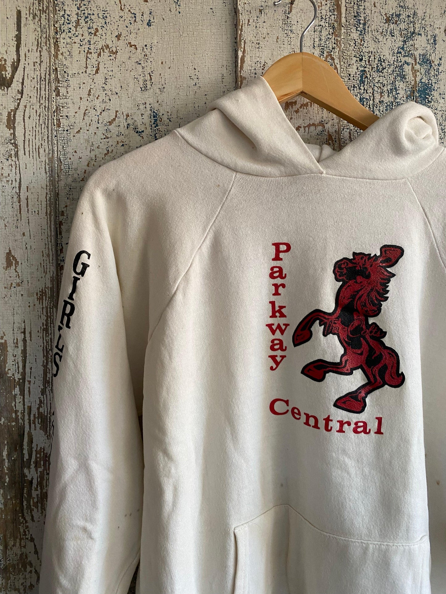 1980s Boxy Raglan Hoodie | L
