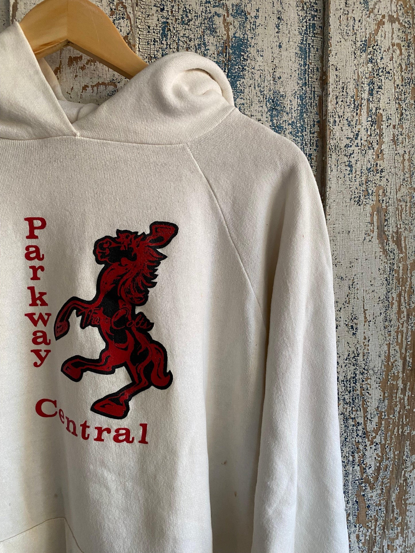 1980s Boxy Raglan Hoodie | L