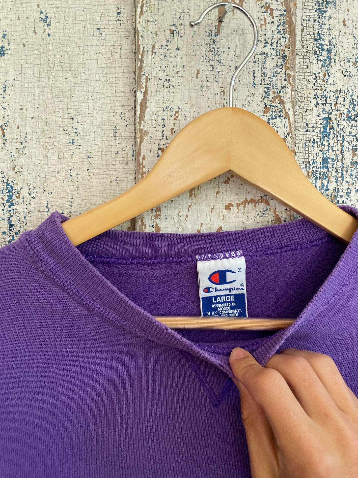 1990s Champion Crewneck | L