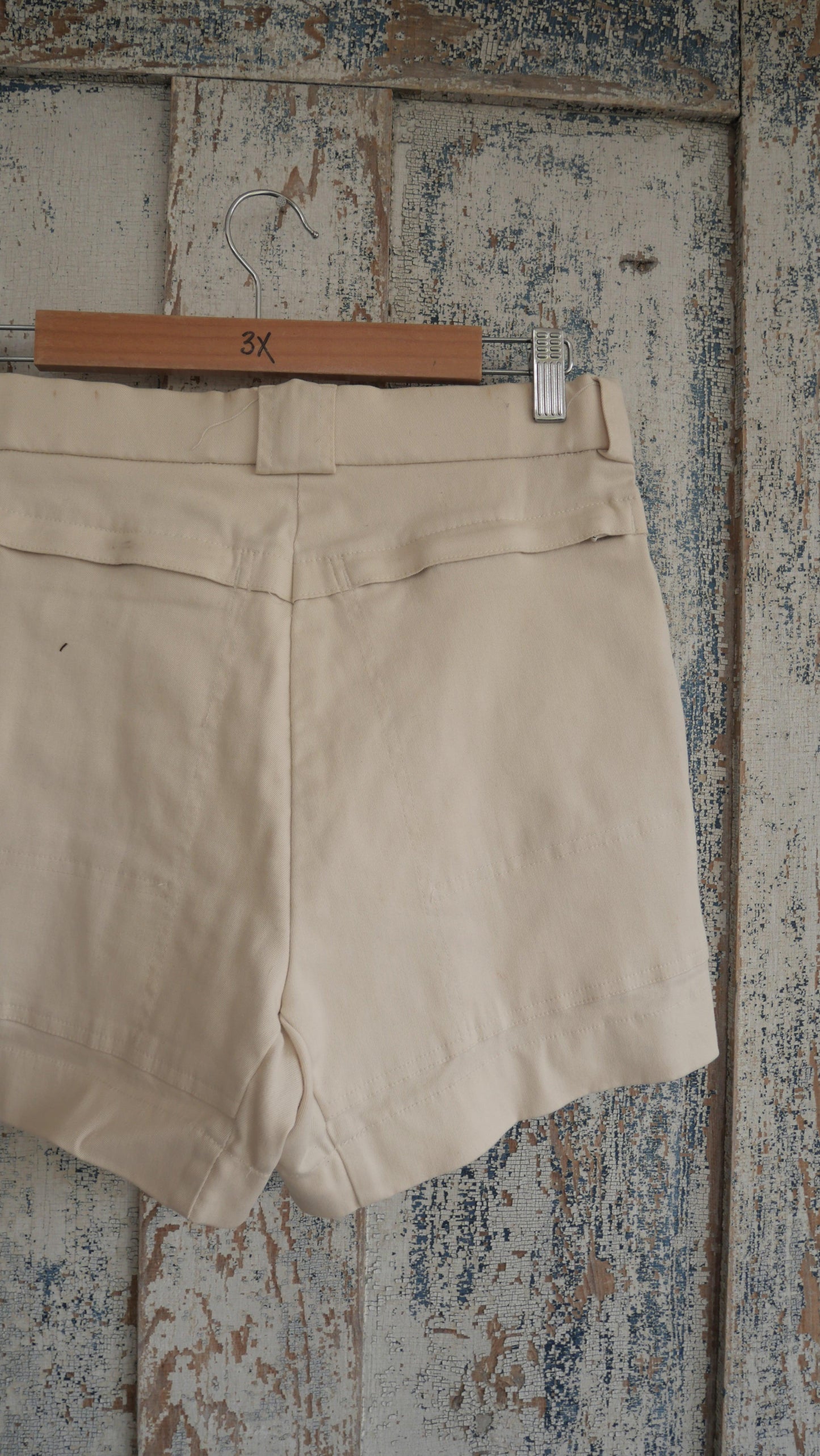 1980s Hiking Shorts | 31