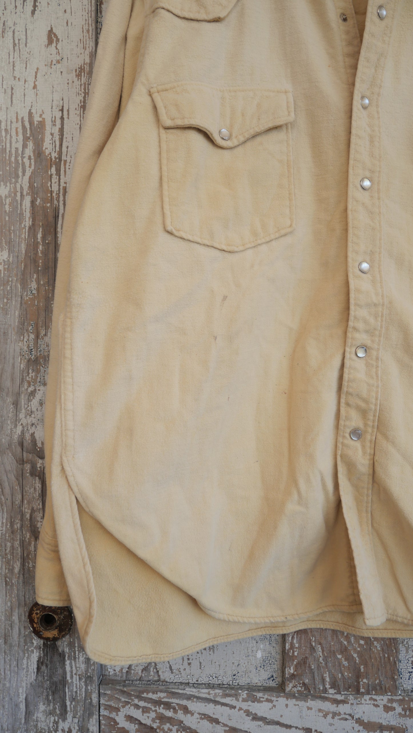 1980s Pearl Snap Woolrich Shirt | L