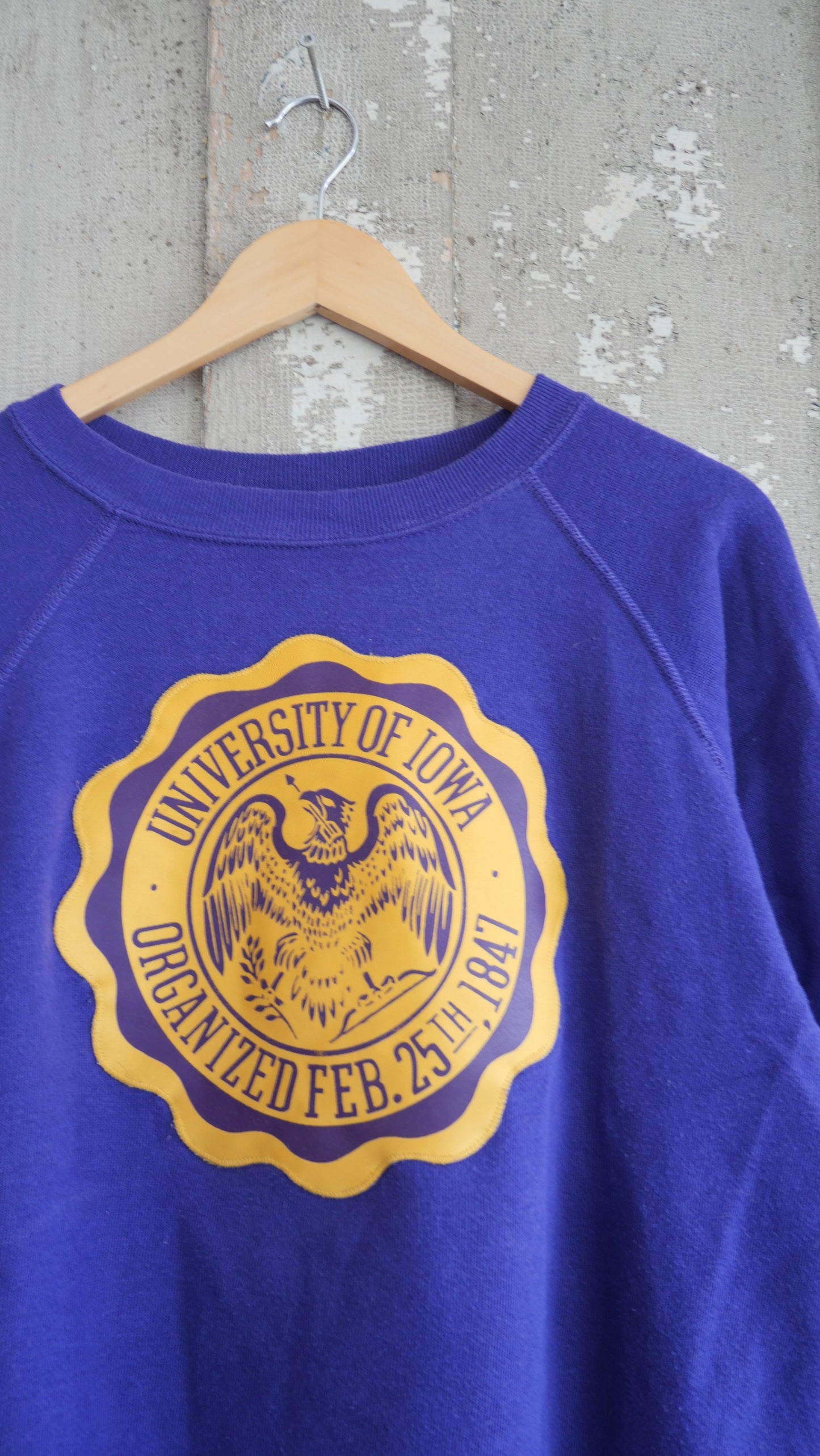 1980s Raglan Crewneck | L