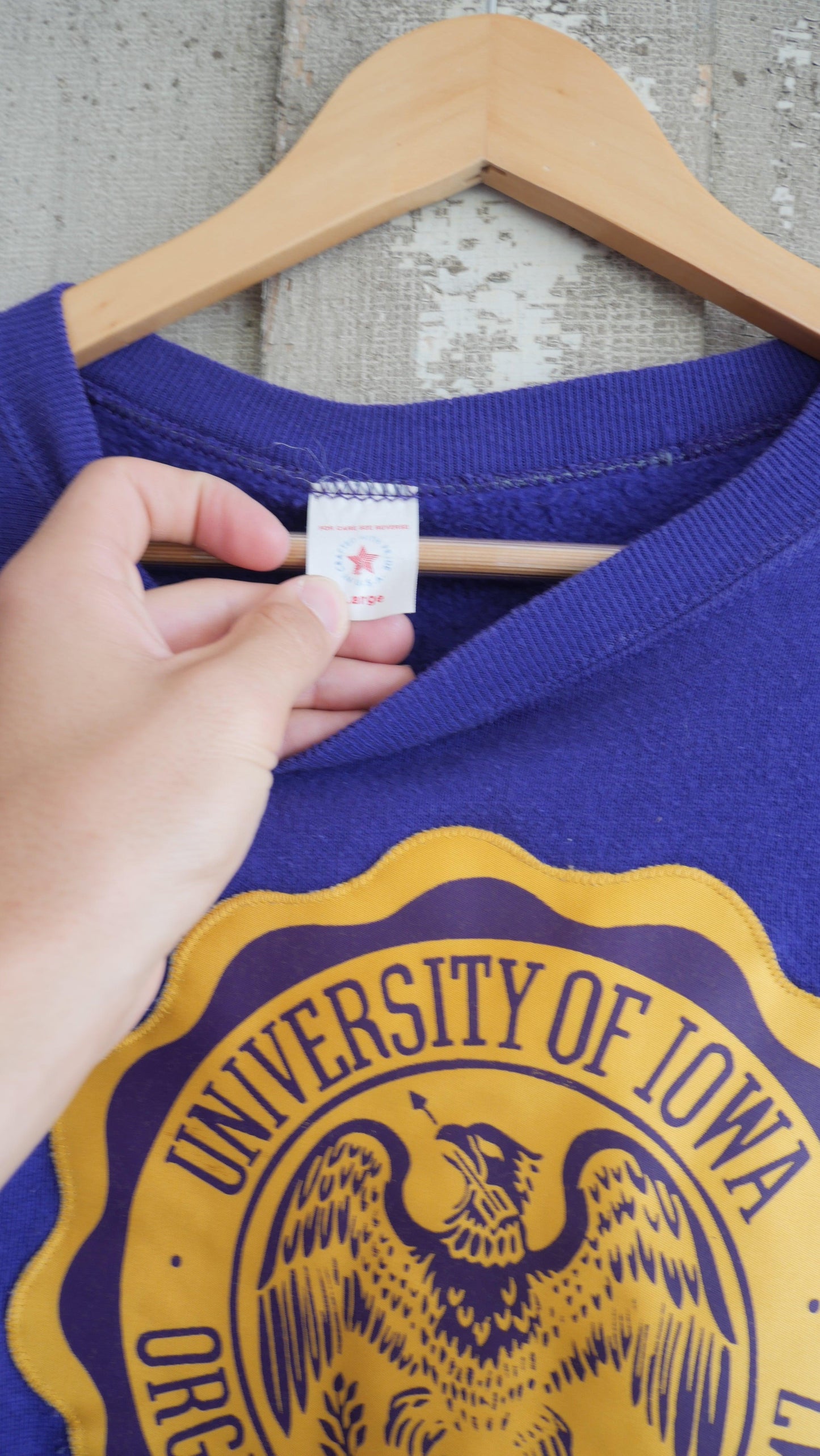 1980s Raglan Crewneck | L