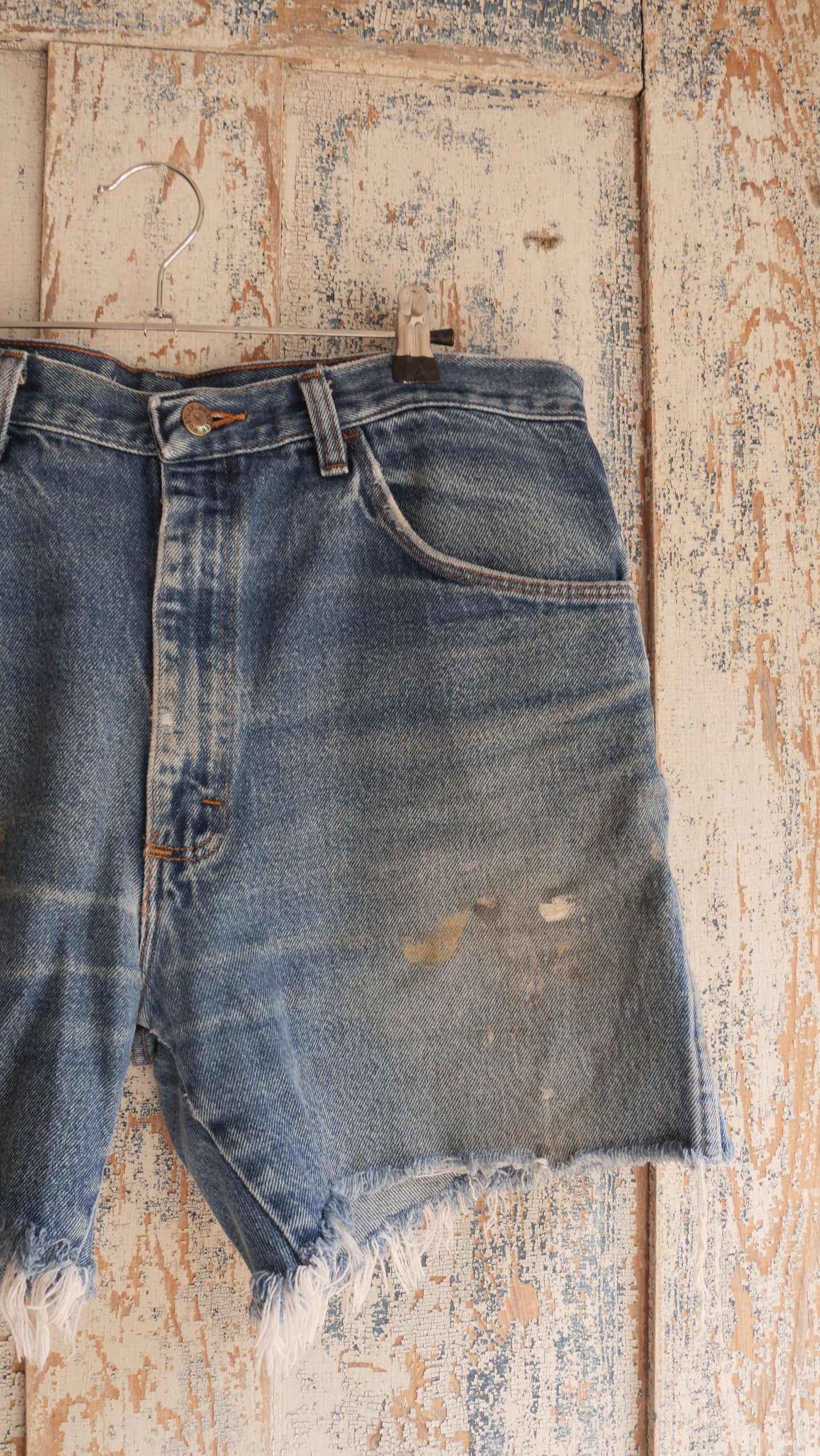 1990s Distressed Jorts | 34