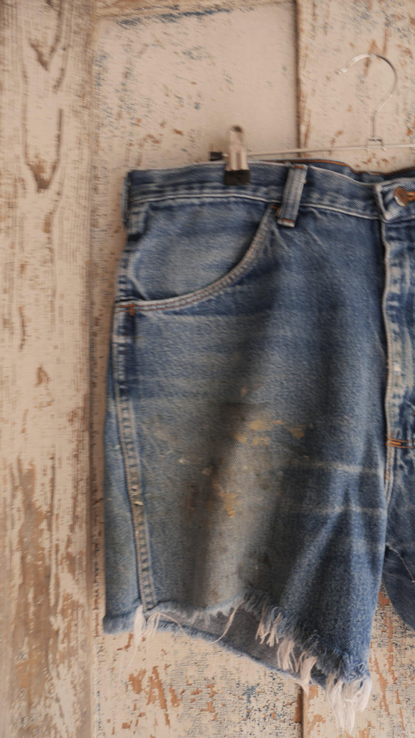 1990s Distressed Jorts | 34