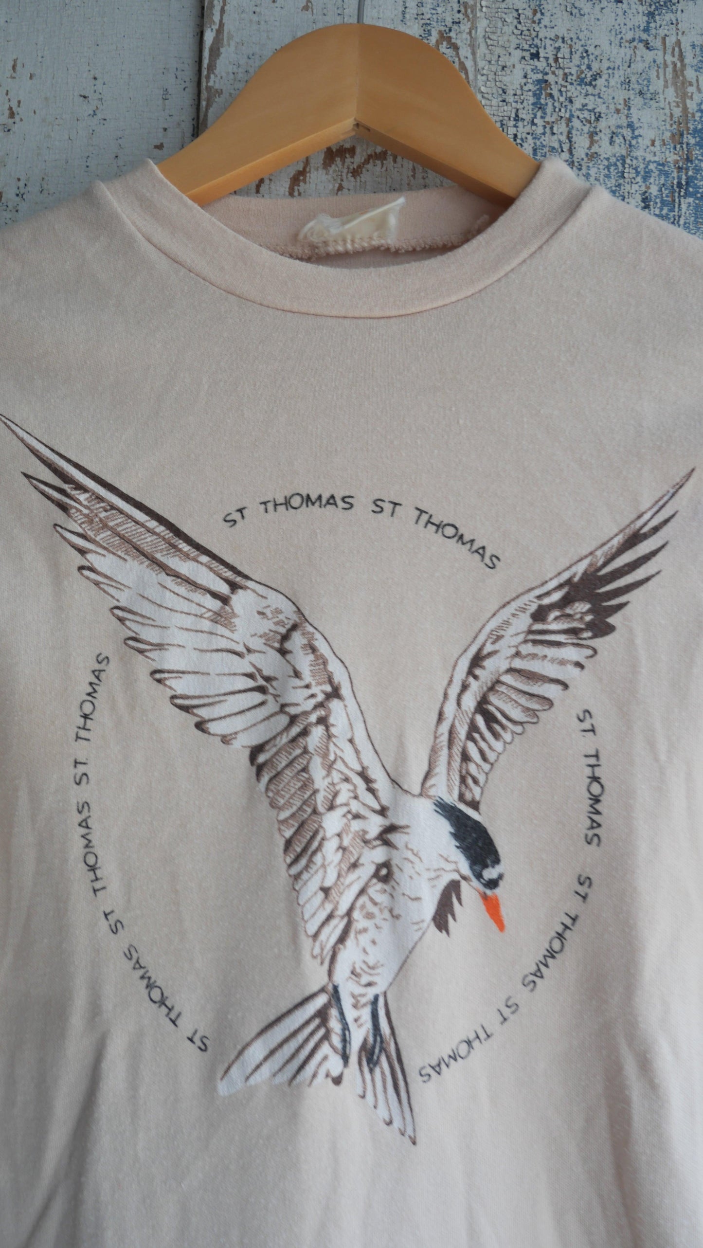 1970s Souvenir Baby Tee | S