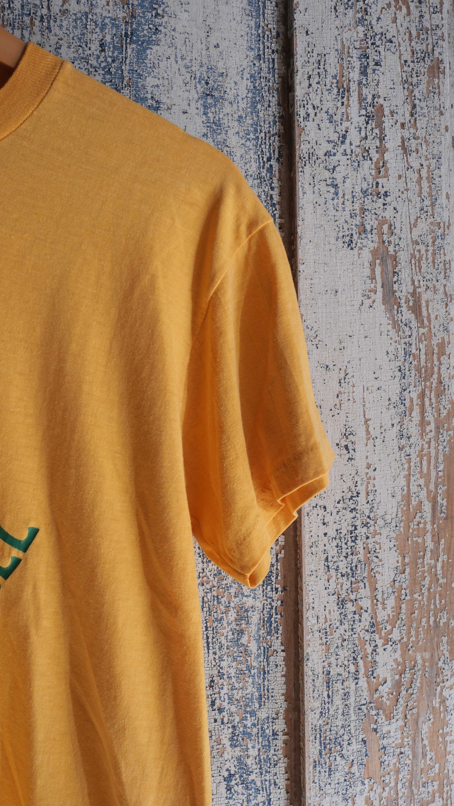 1970s Turtle Tee | M