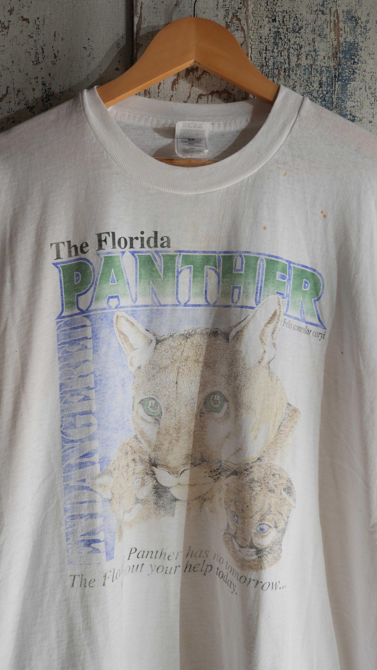 1990s Florida Panther Tee | L