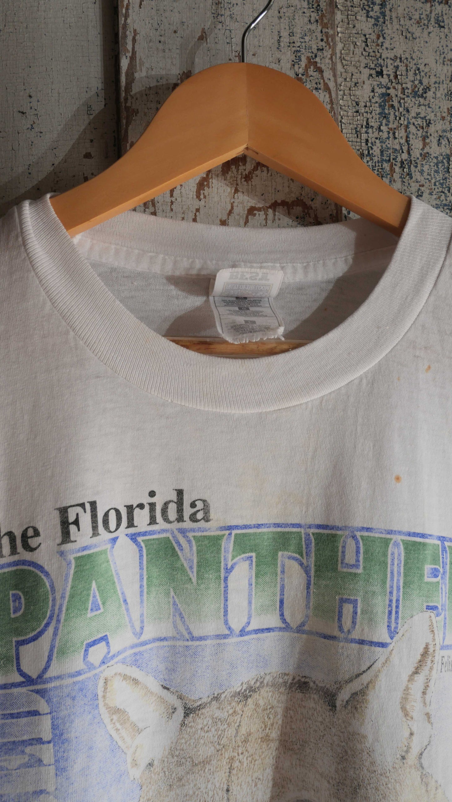 1990s Florida Panther Tee | L