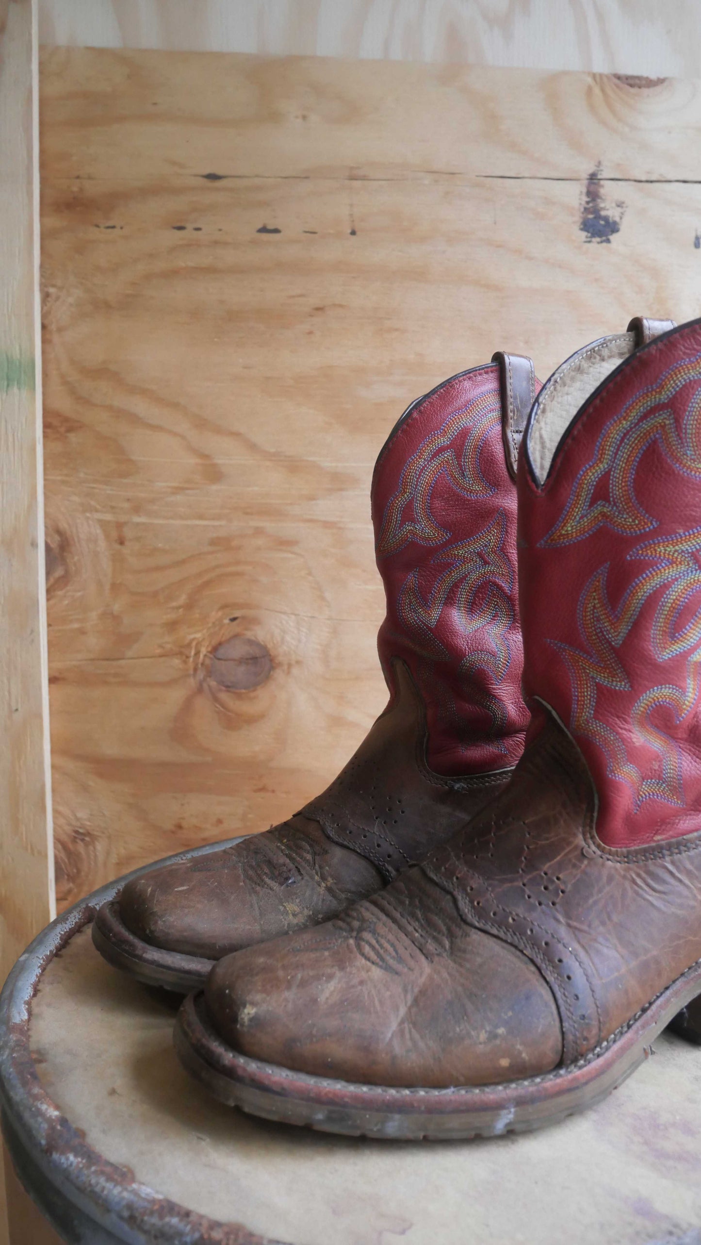 2000s Two Tone Cowboy Boots | 10