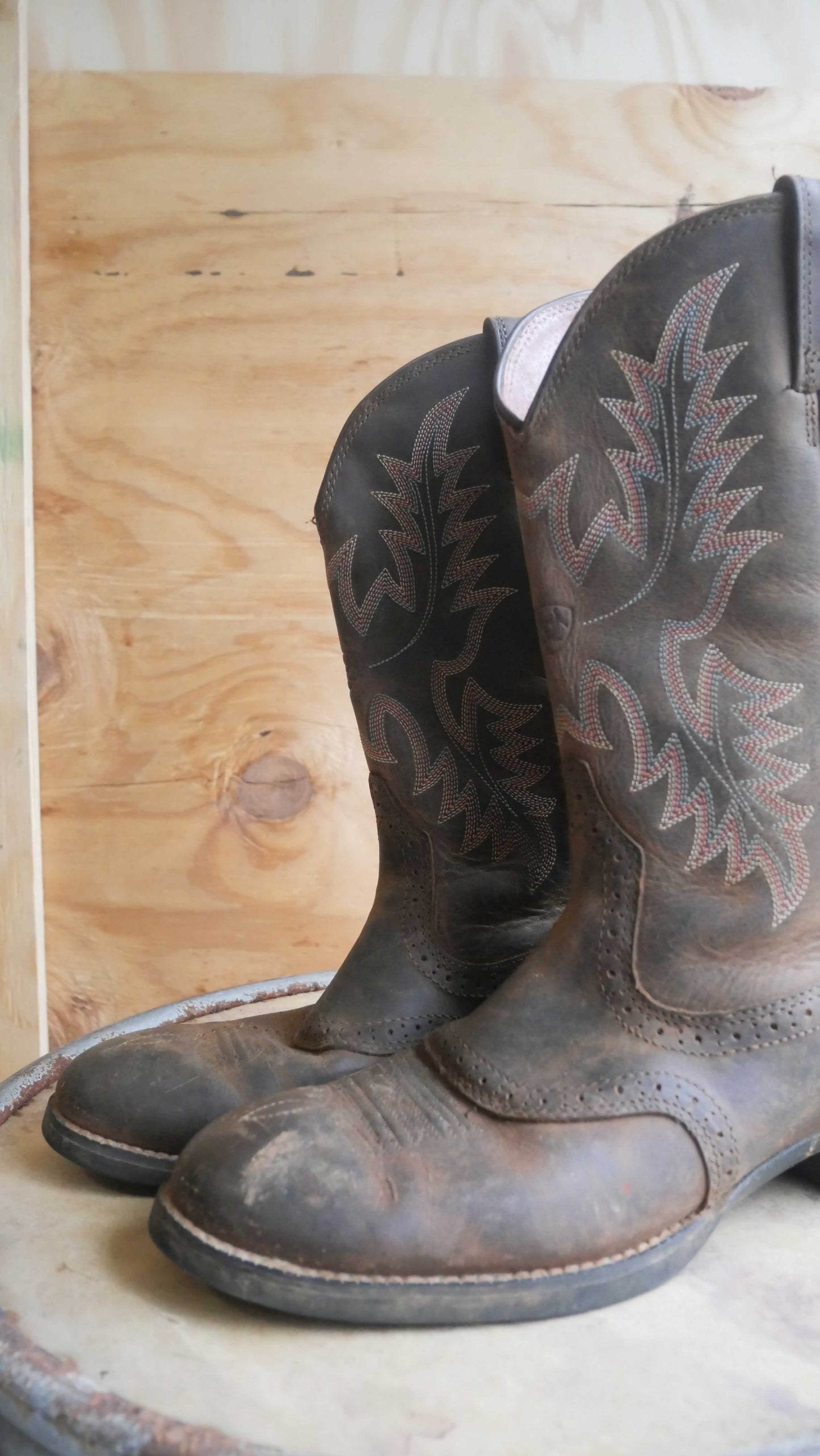 2000s Ariat Cowboy Boots | 9.5