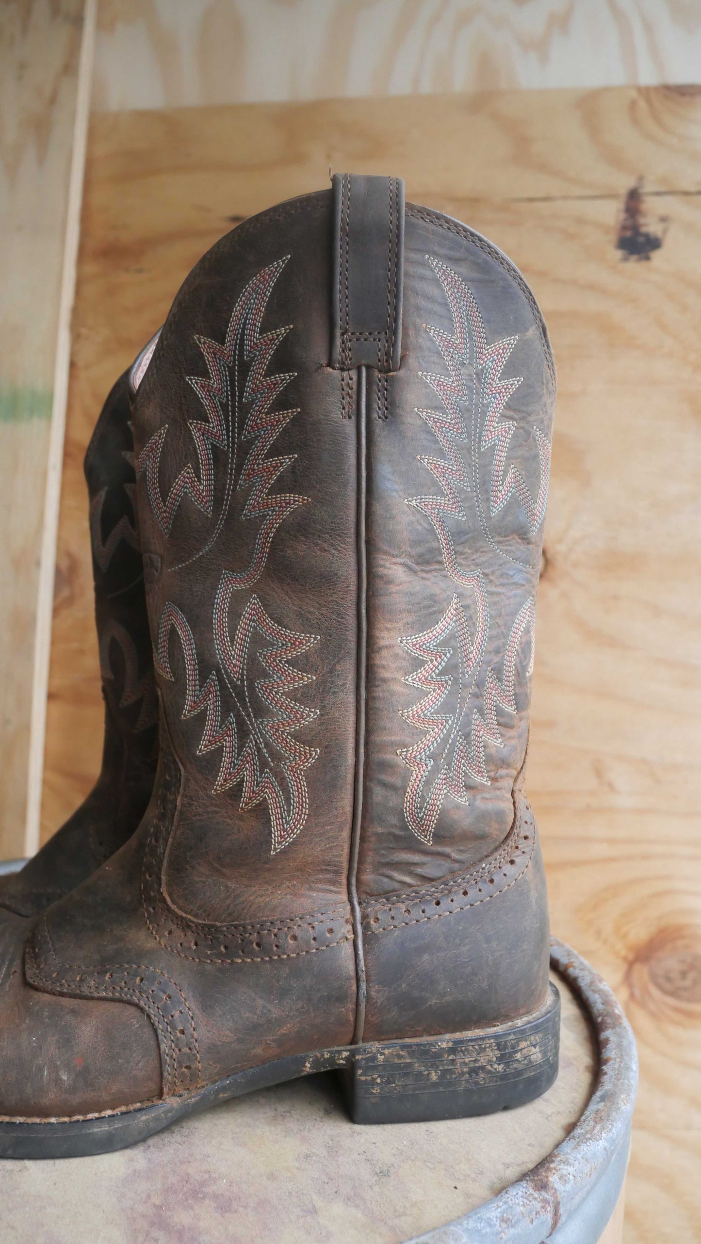 2000s Ariat Cowboy Boots | 9.5