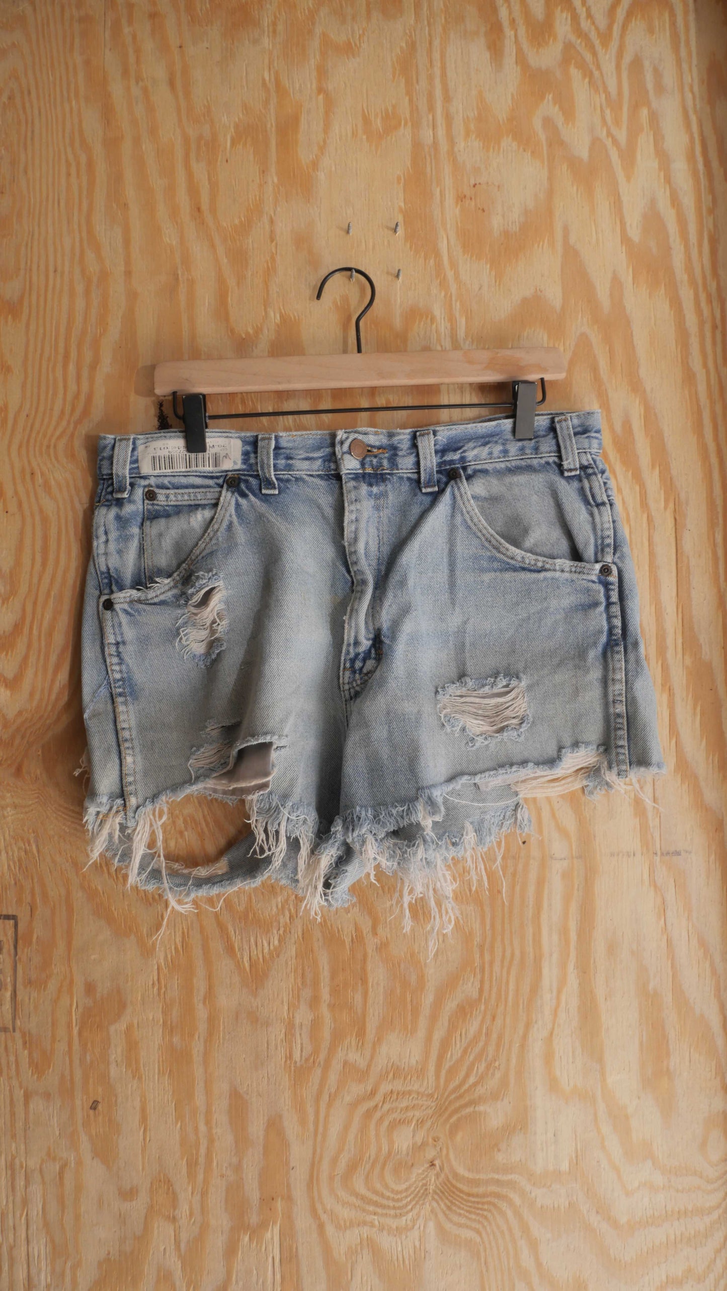 1990s Thrashed Jorts | 34