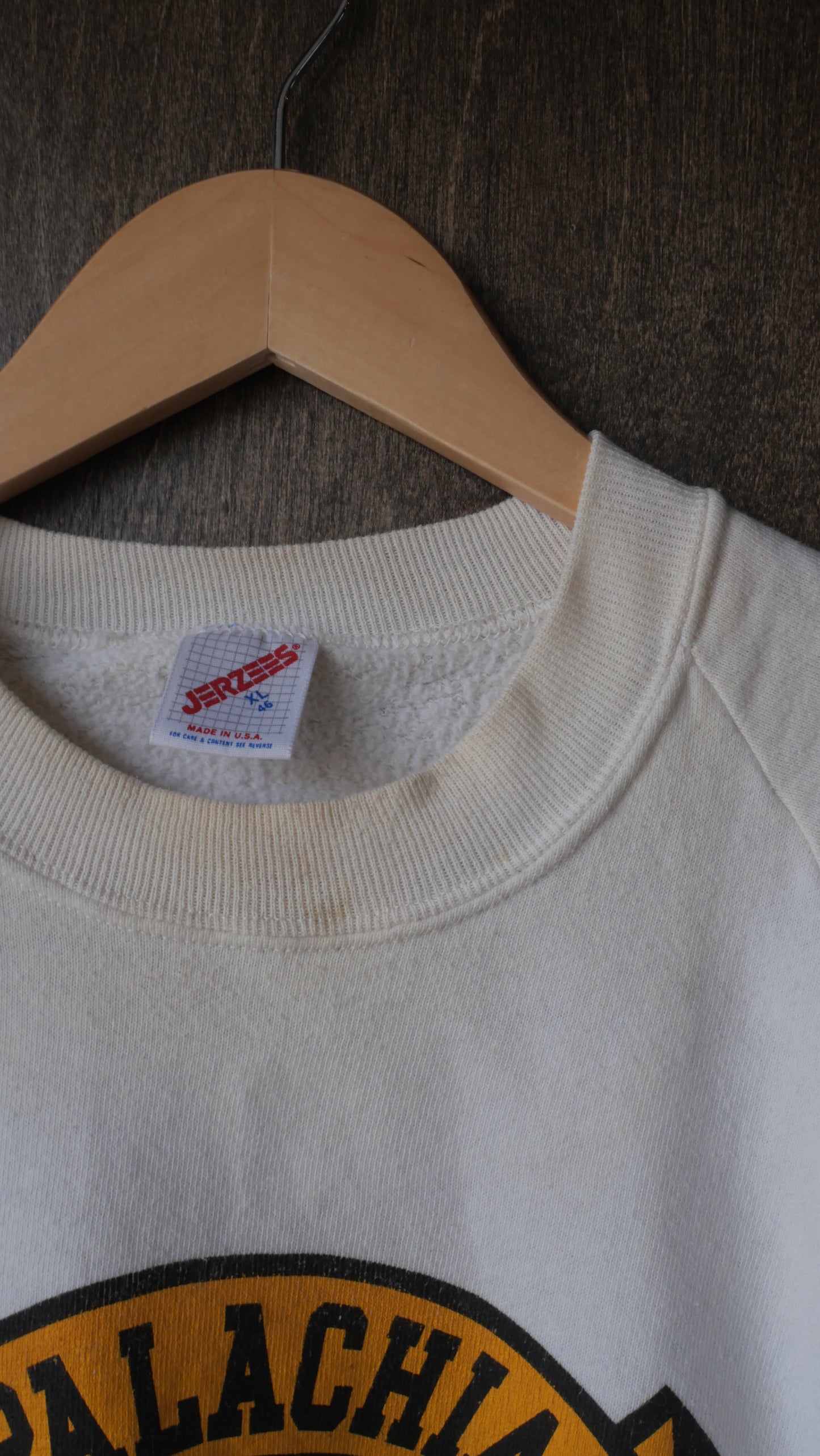 1980s App State Crewneck | XL