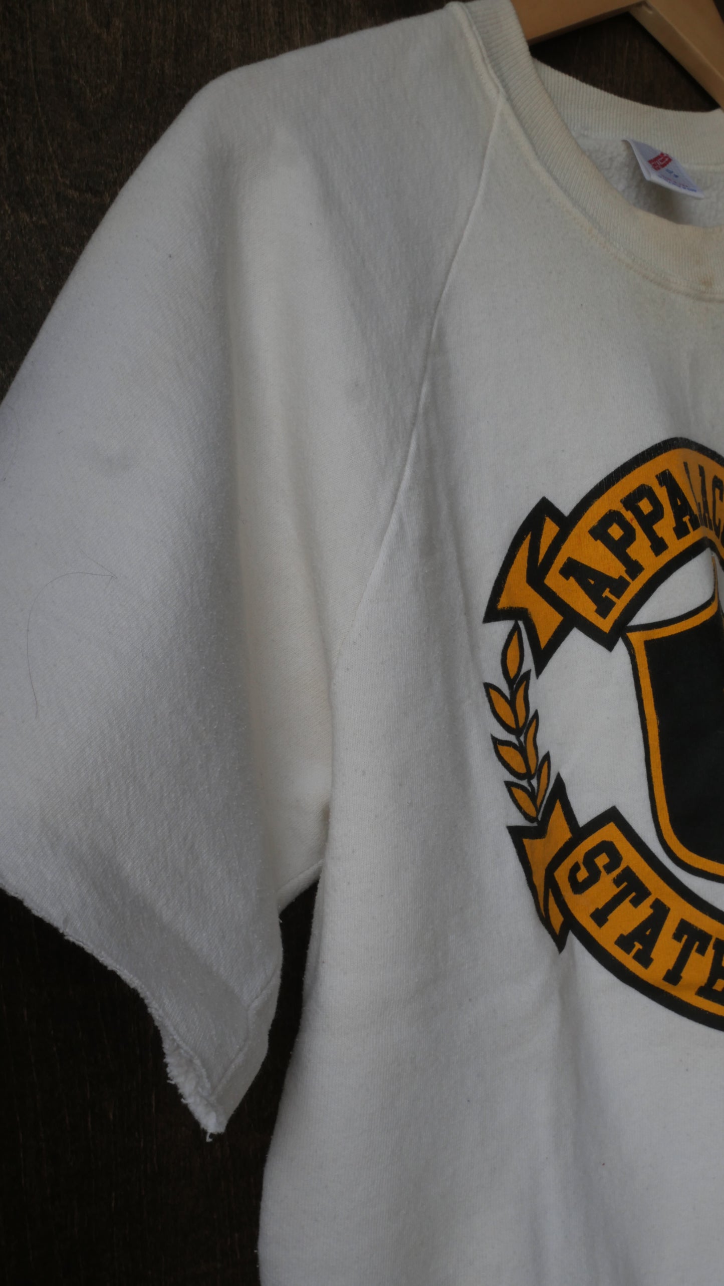 1980s App State Crewneck | XL