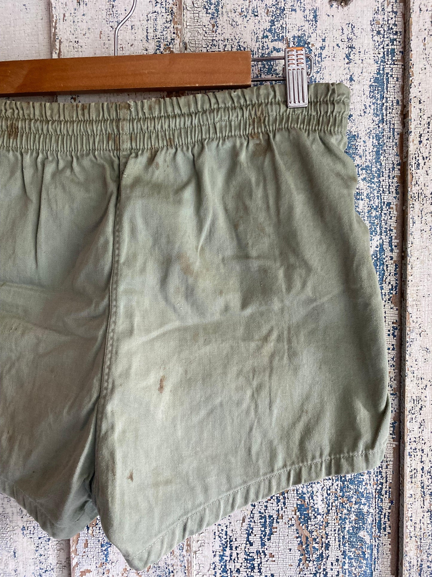 1970s Camp Shorts | 30