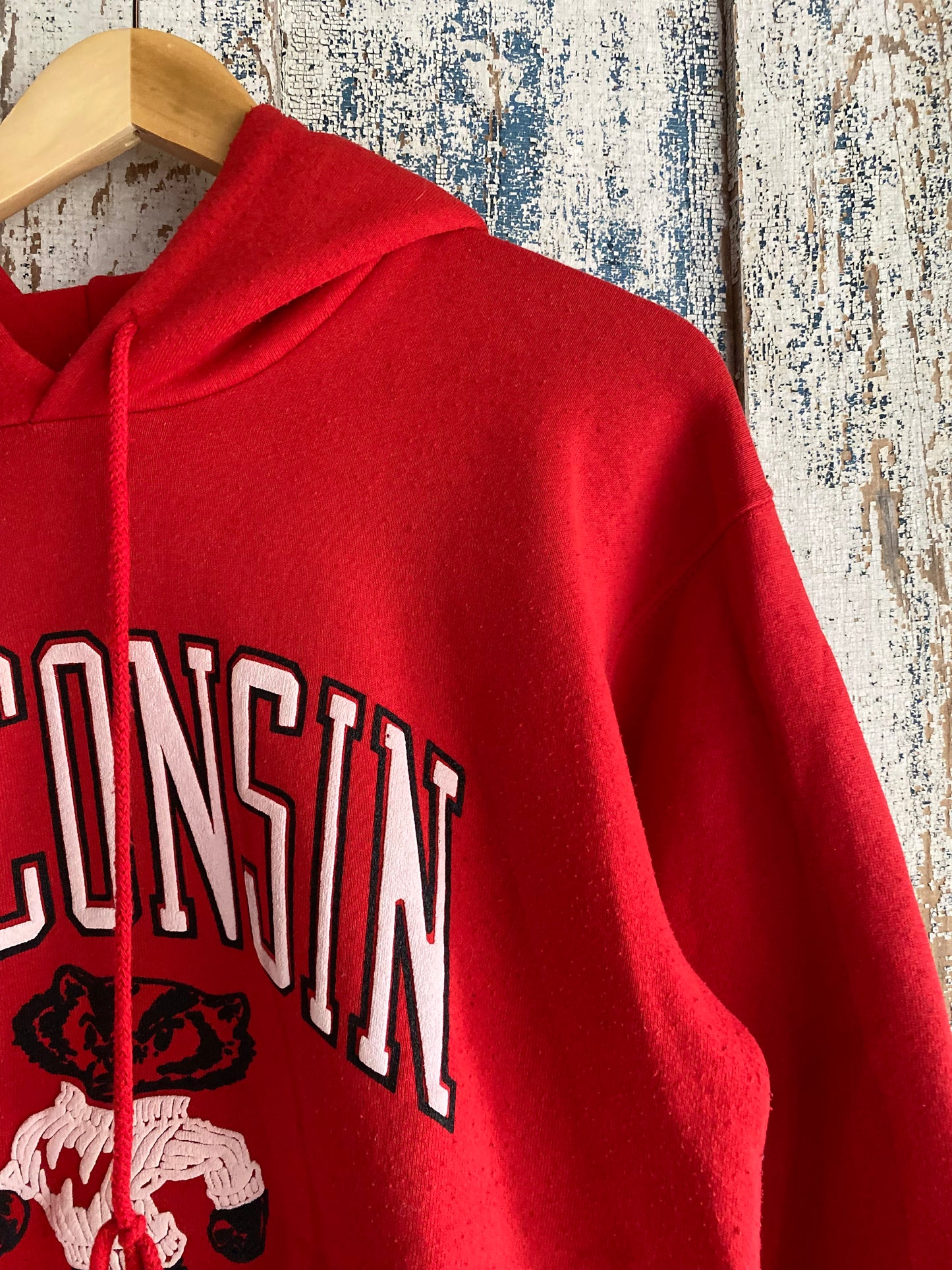 1980s Wisconsin Hoodie | L