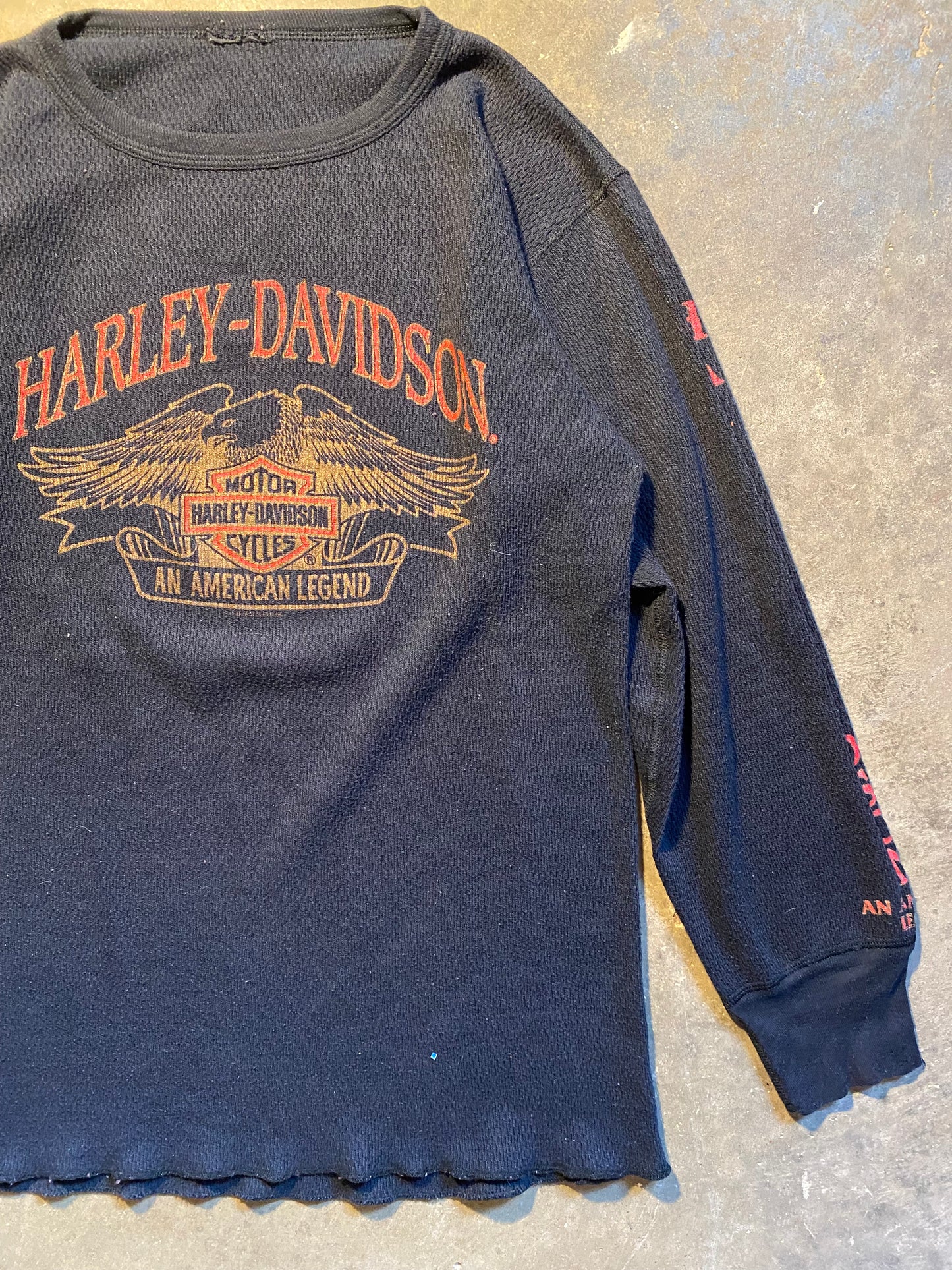 Vintage 90S Harley Thermal | L